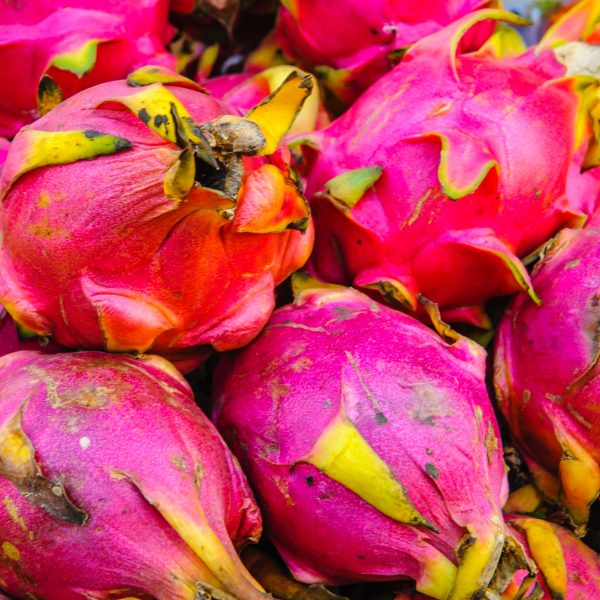 dragonfruit