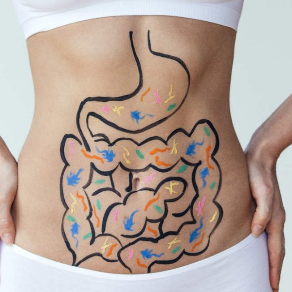 gut digestion