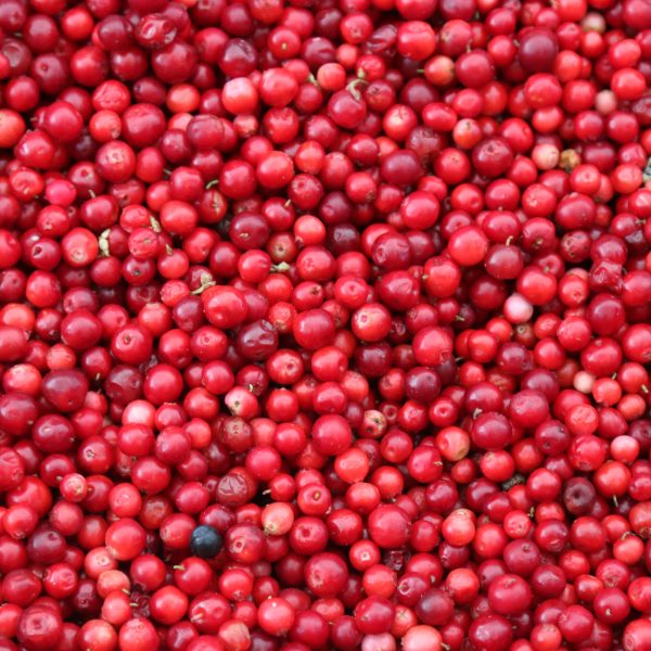 cranberries